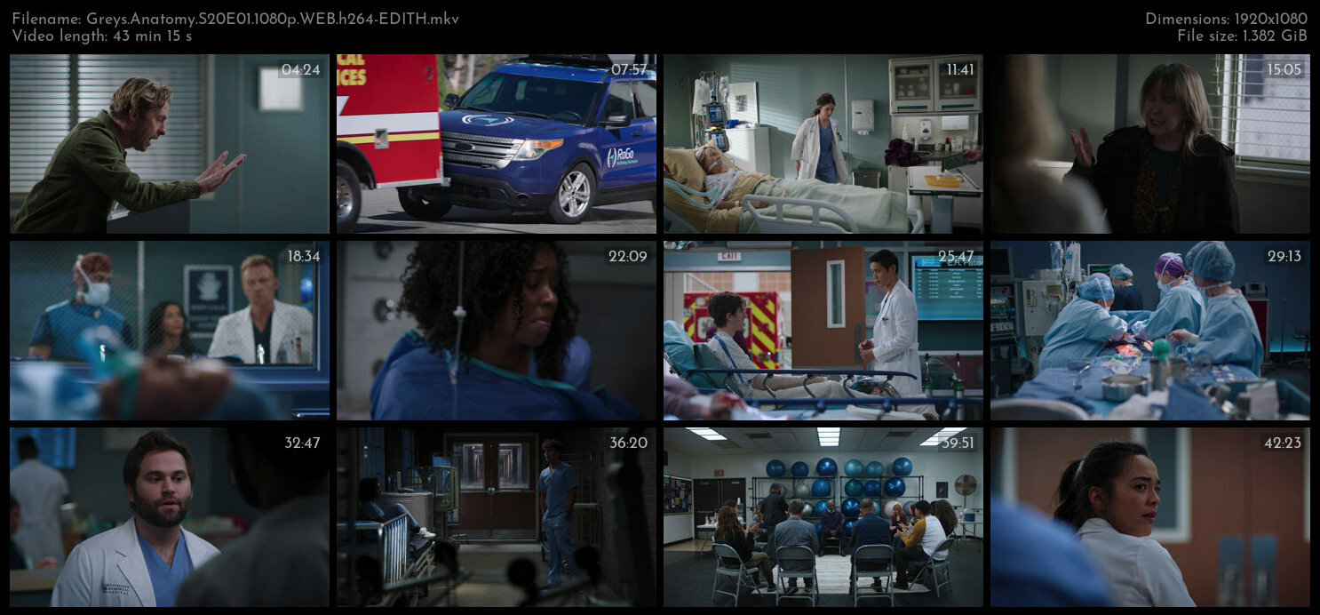 Greys Anatomy S20E01 1080p WEB h264 EDITH TGx