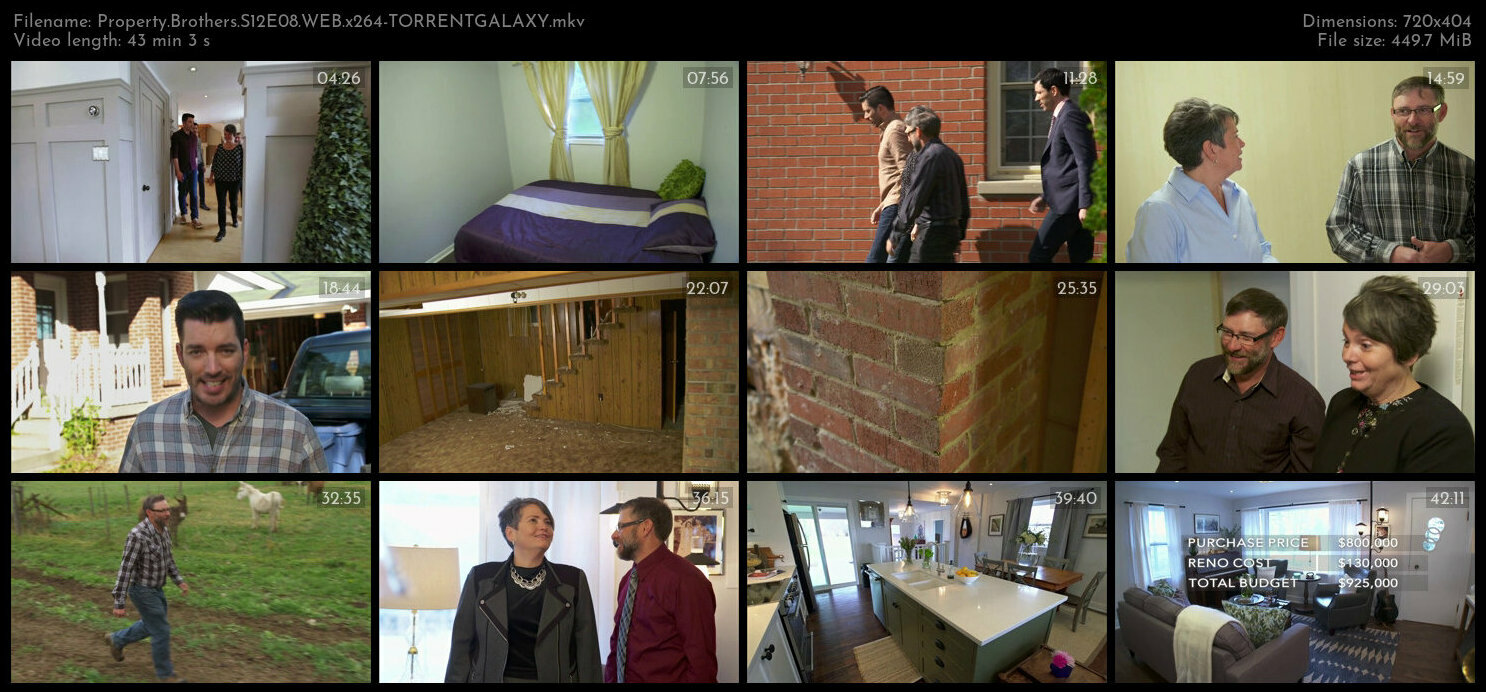 Property Brothers S12E08 WEB x264 TORRENTGALAXY