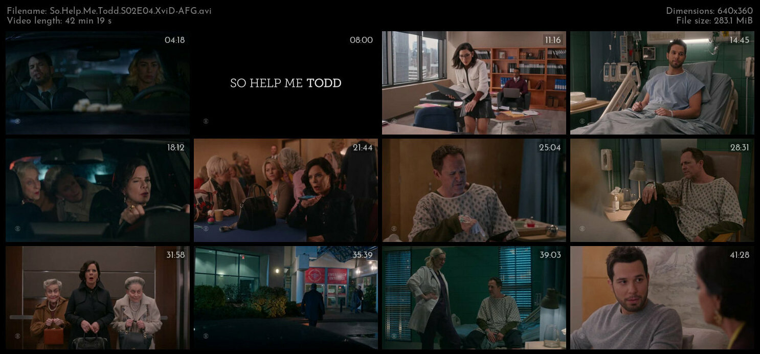 So Help Me Todd S02E04 XviD AFG TGx