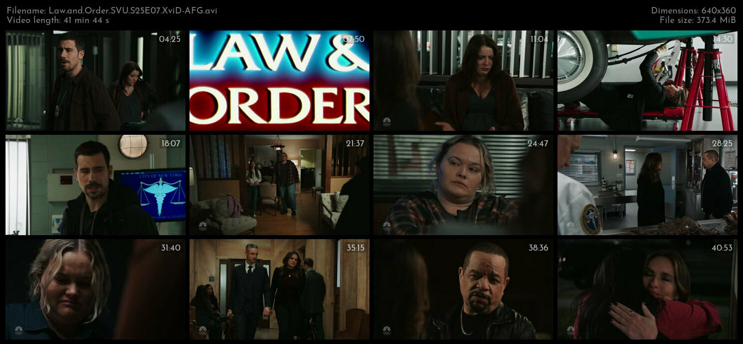 Law and Order SVU S25E07 XviD AFG TGx