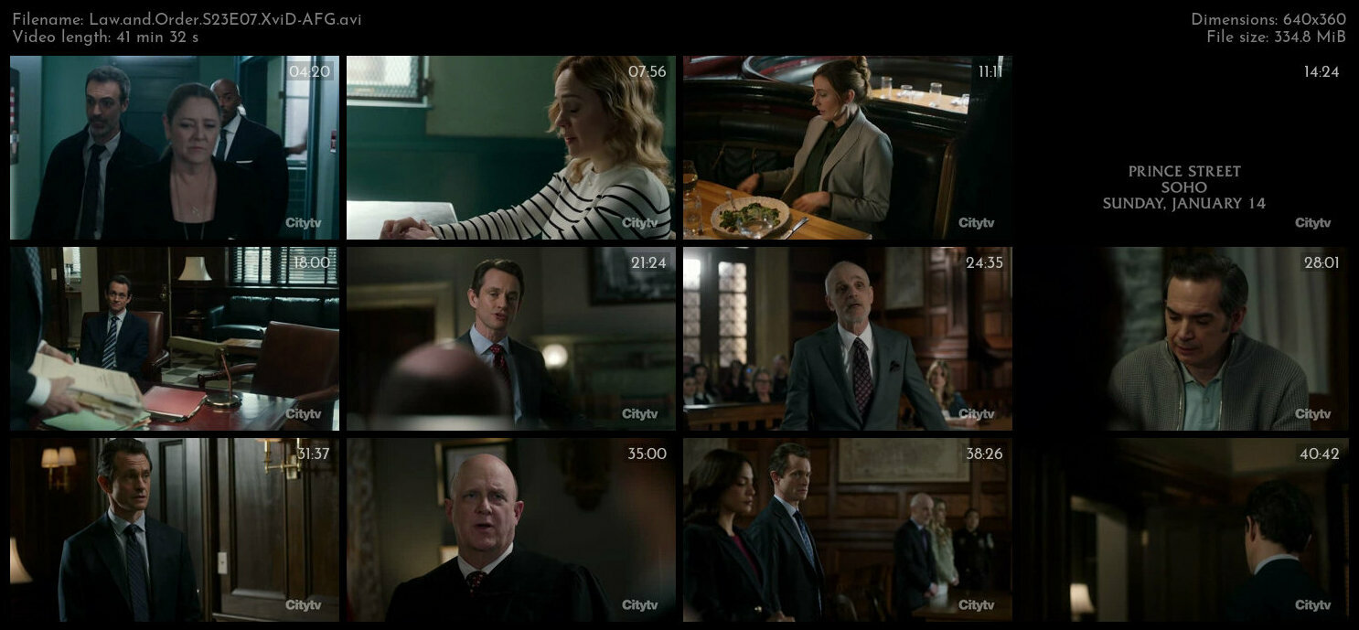 Law and Order S23E07 XviD AFG TGx