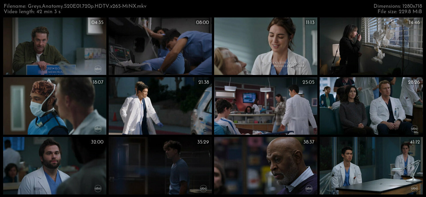 Greys Anatomy S20E01 720p HDTV x265 MiNX TGx