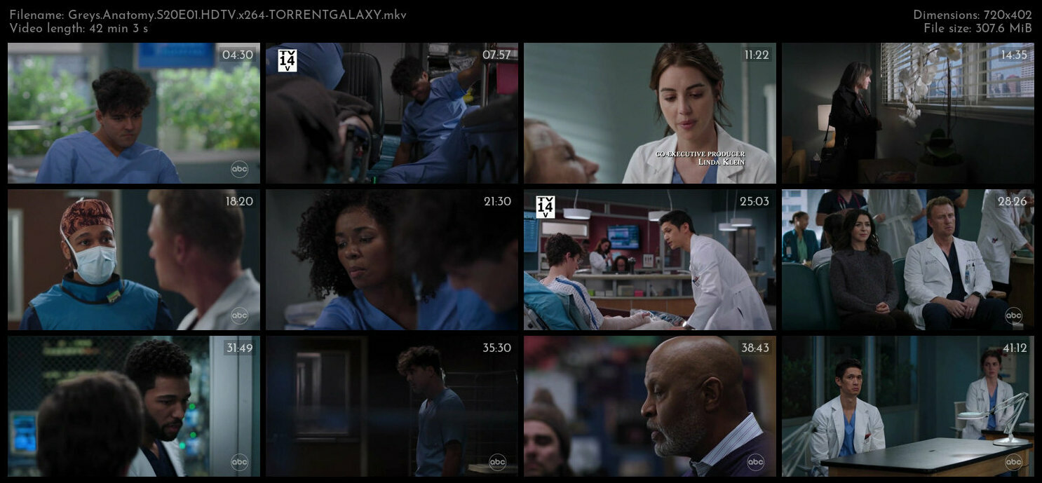 Greys Anatomy S20E01 HDTV x264 TORRENTGALAXY