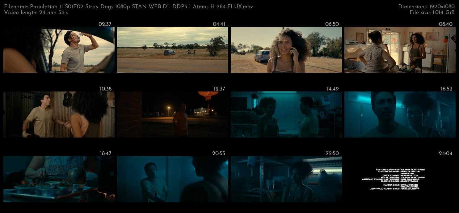 Population 11 S01E02 Stray Dogs 1080p STAN WEB DL DDP5 1 Atmos H 264 FLUX TGx
