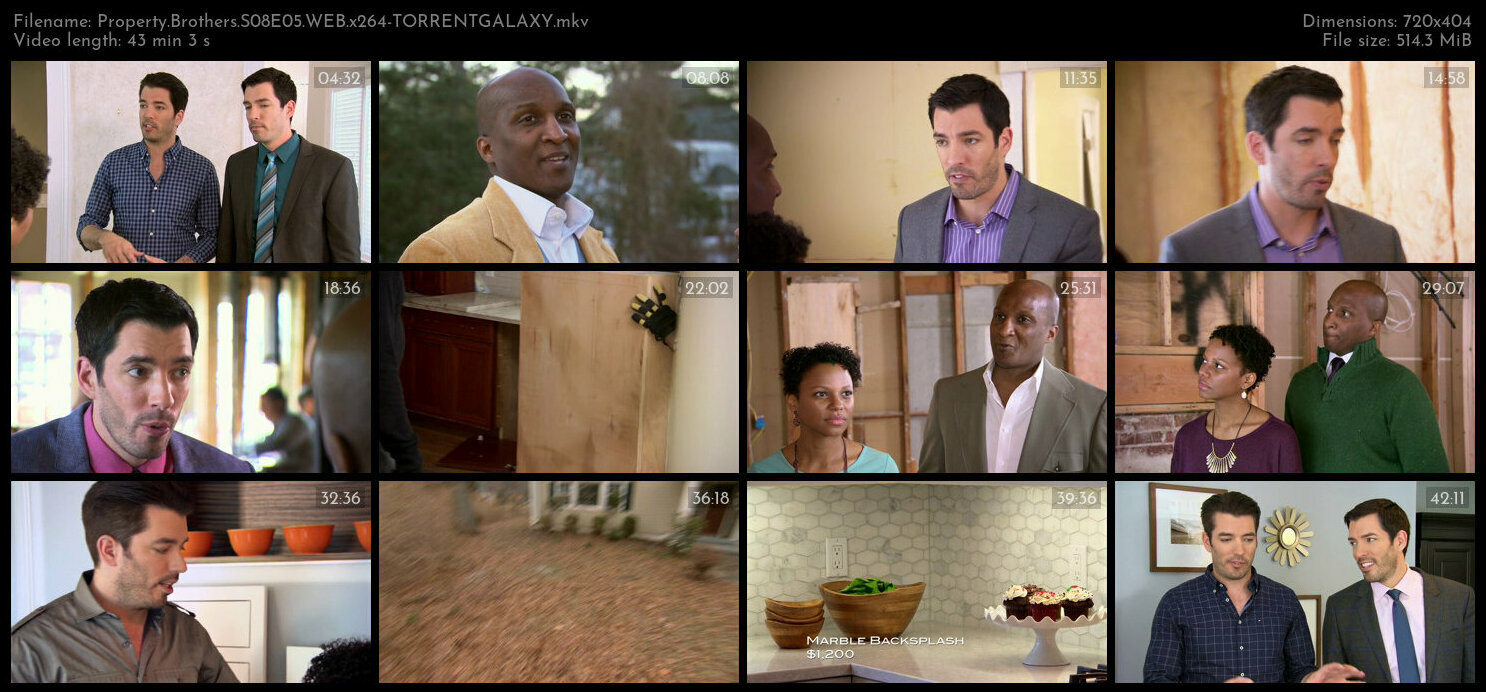 Property Brothers S08E05 WEB x264 TORRENTGALAXY