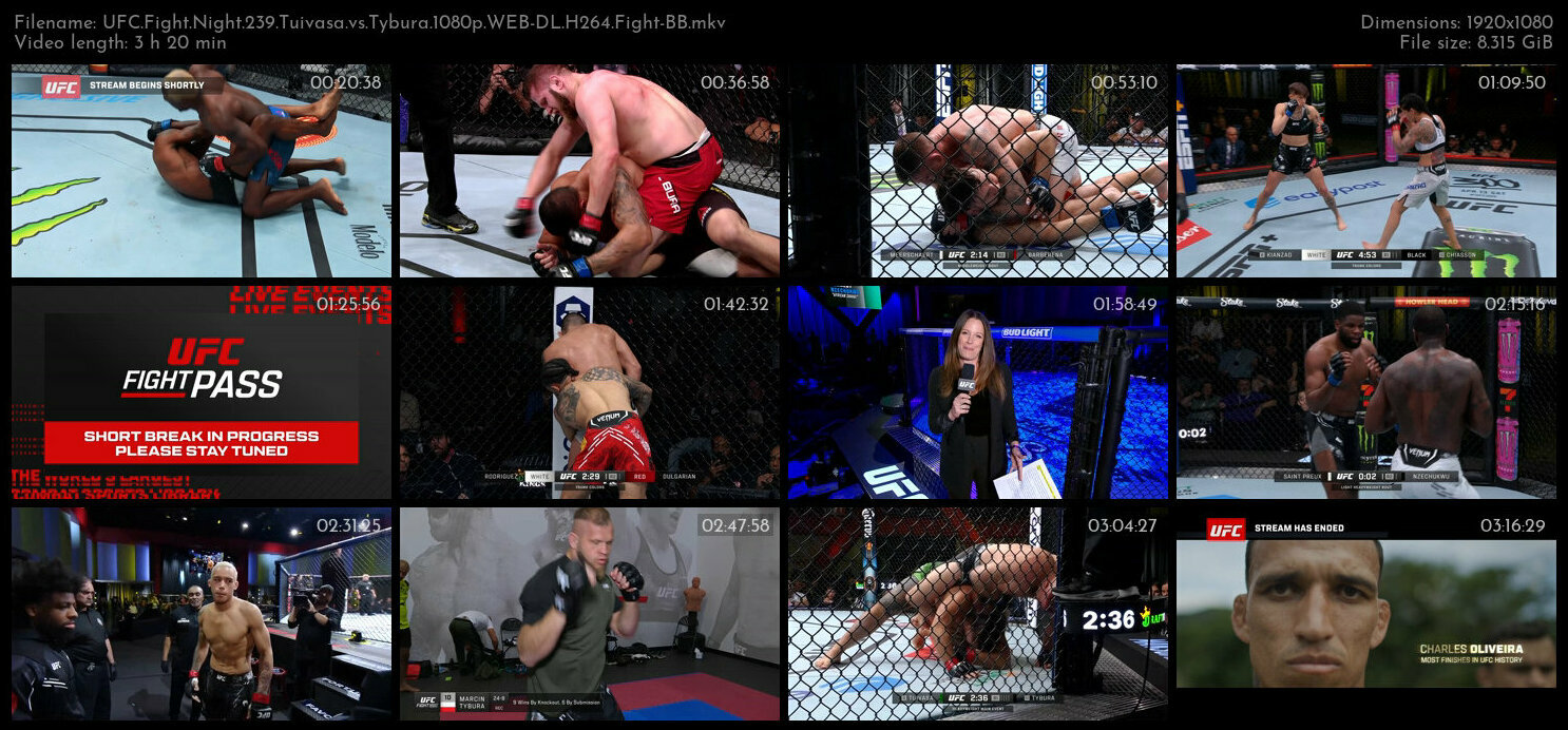 UFC Fight Night 239 Tuivasa vs Tybura 1080p WEB DL H264 Fight BB