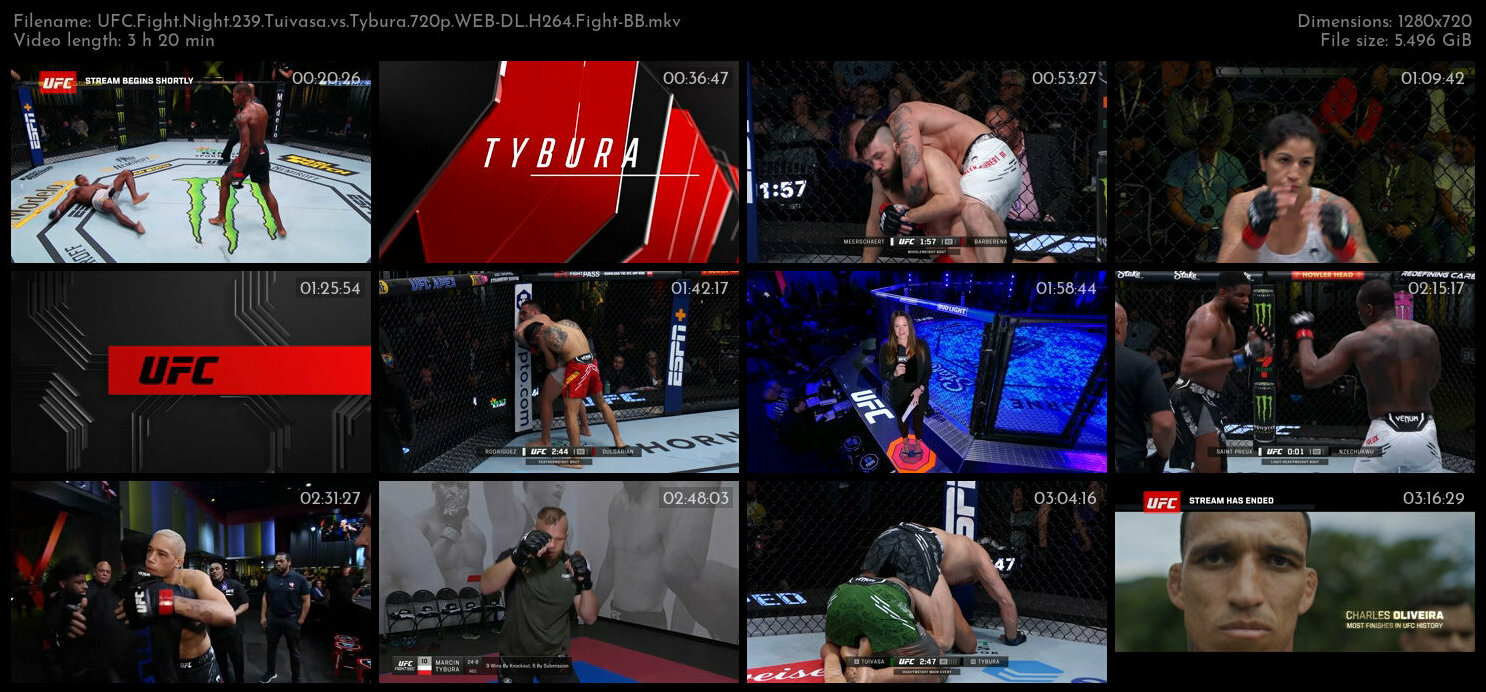UFC Fight Night 239 Tuivasa vs Tybura 720p WEB DL H264 Fight BB