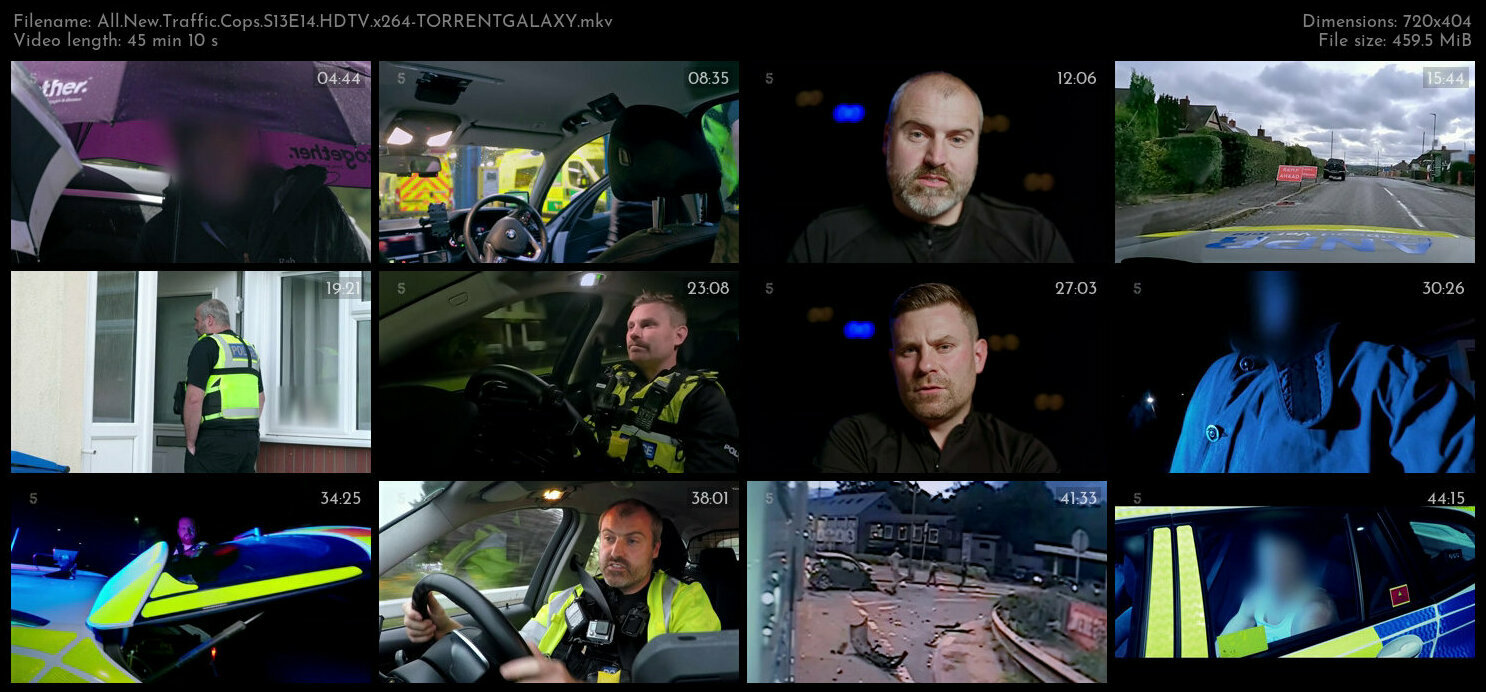 All New Traffic Cops S13E14 HDTV x264 TORRENTGALAXY