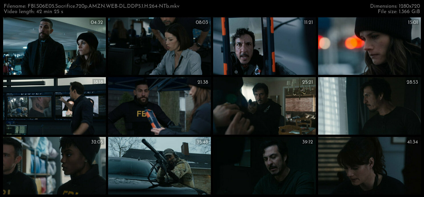 FBI S06E05 Sacrifice 720p AMZN WEB DL DDP5 1 H 264 NTb TGx