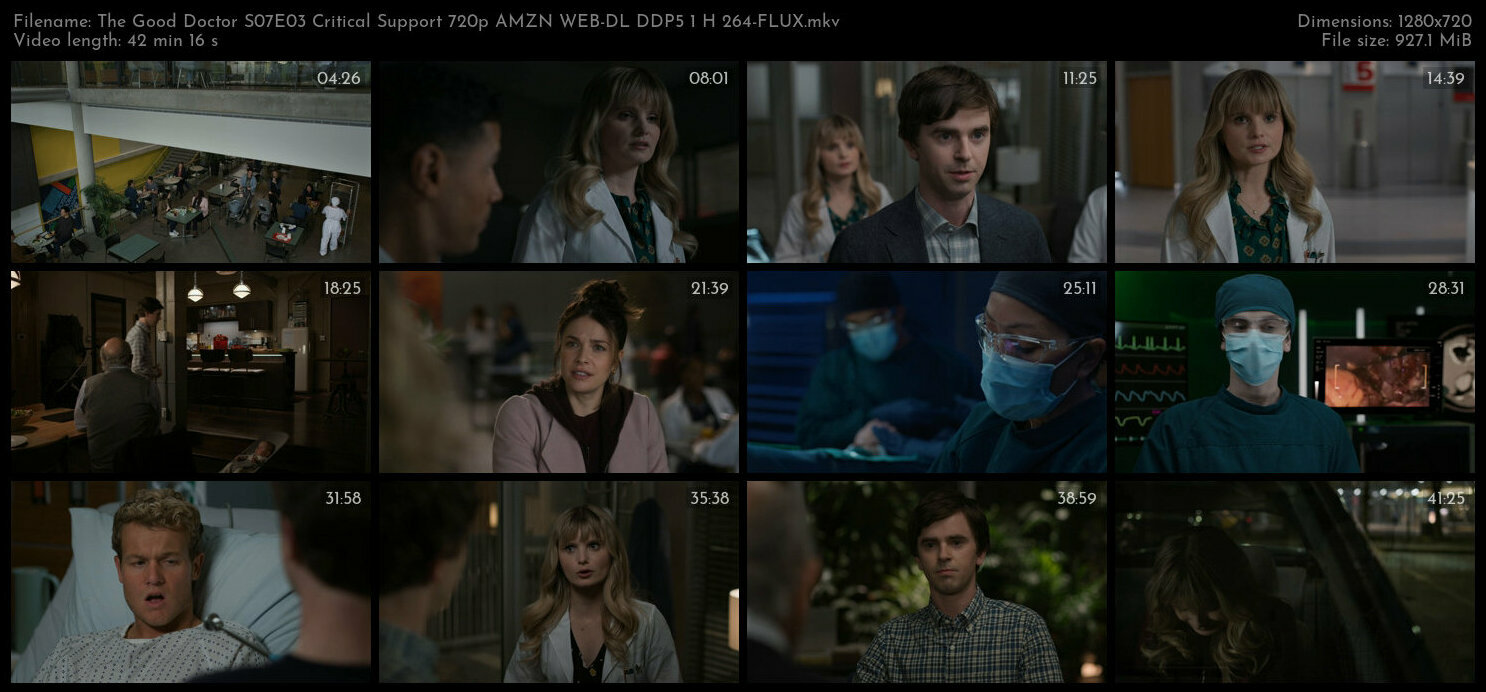 The Good Doctor S07E03 Critical Support 720p AMZN WEB DL DDP5 1 H 264 FLUX TGx