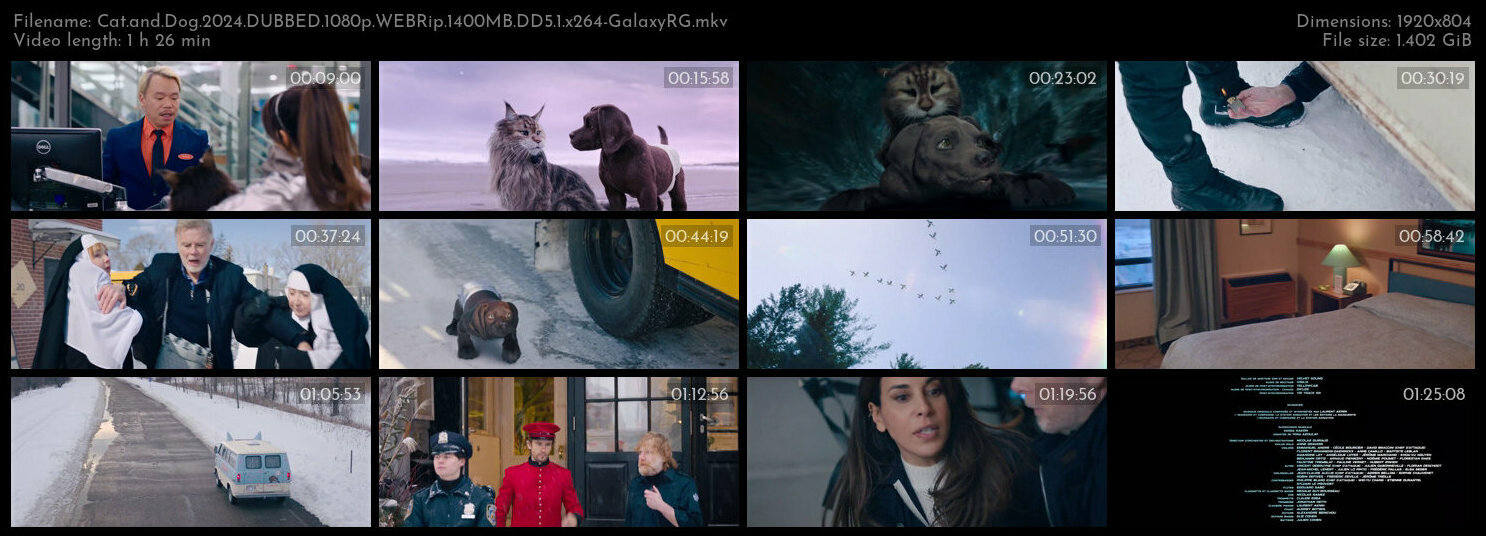 Cat and Dog 2024 DUBBED 1080p WEBRip 1400MB DD5 1 x264 GalaxyRG