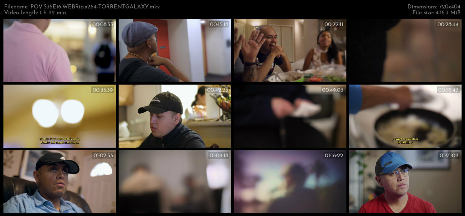 POV S36E16 WEBRip x264 TORRENTGALAXY