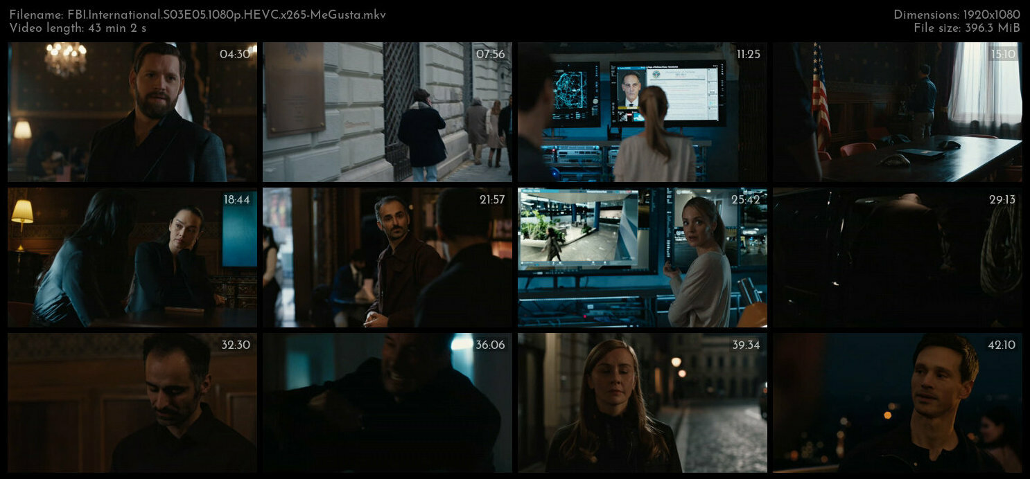 FBI International S03E05 1080p HEVC x265 MeGusta TGx