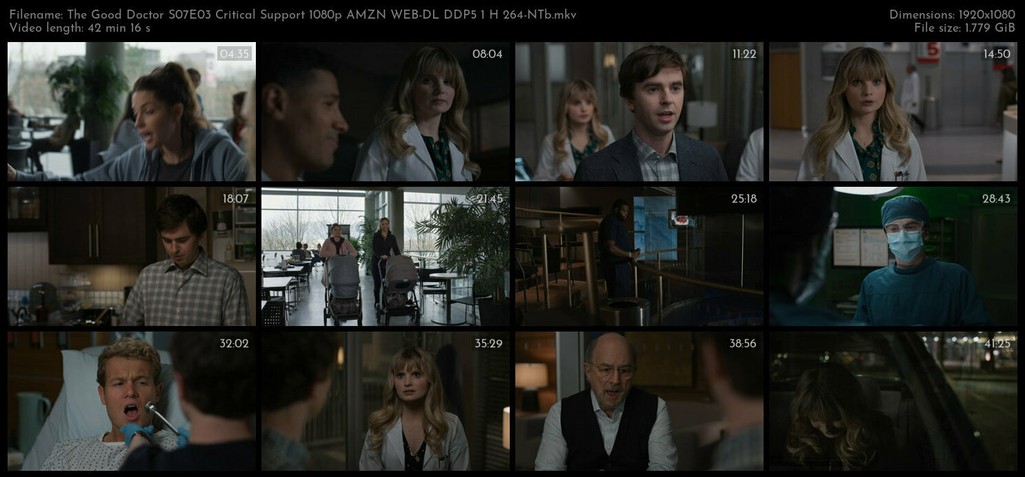 The Good Doctor S07E03 Critical Support 1080p AMZN WEB DL DDP5 1 H 264 NTb TGx