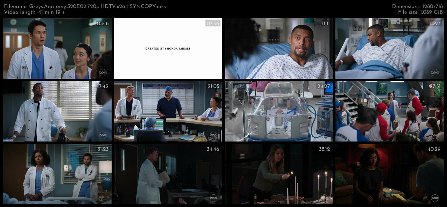 Greys Anatomy S20E02 720p HDTV x264 SYNCOPY TGx