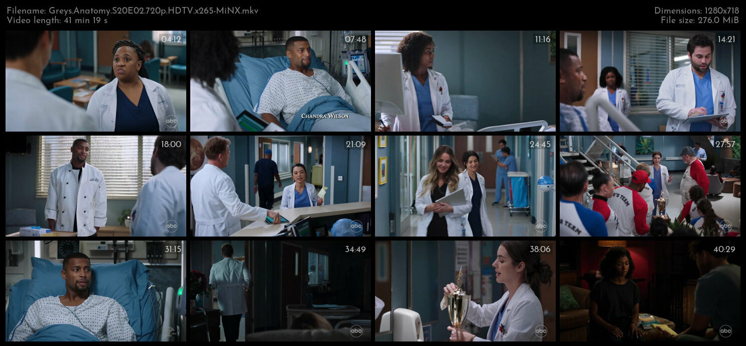 Greys Anatomy S20E02 720p HDTV x265 MiNX TGx
