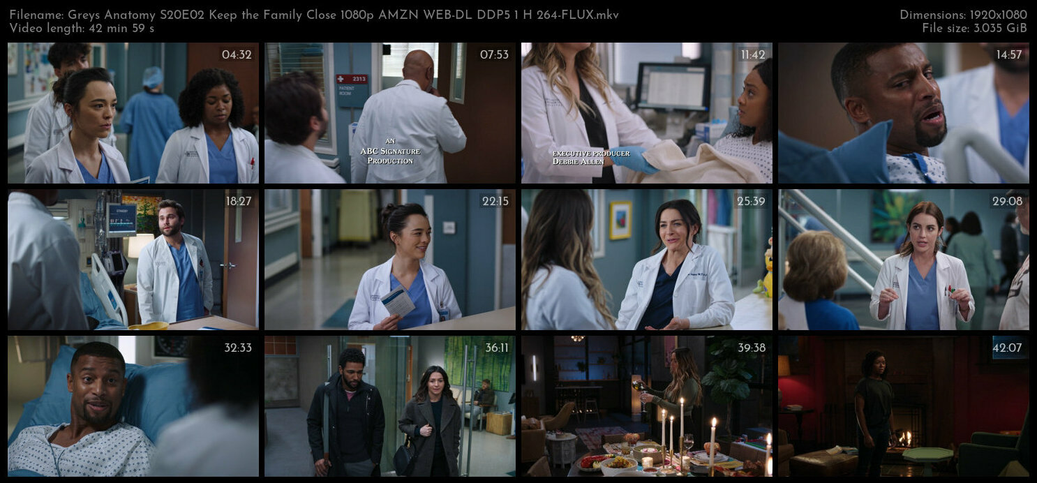 Greys Anatomy S20E02 Keep the Family Close 1080p AMZN WEB DL DDP5 1 H 264 FLUX TGx