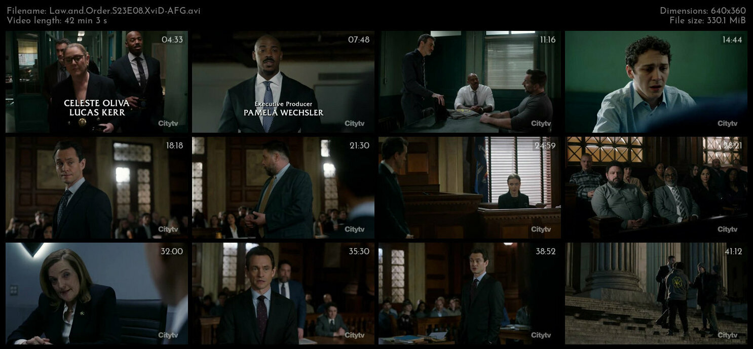 Law and Order S23E08 XviD AFG TGx