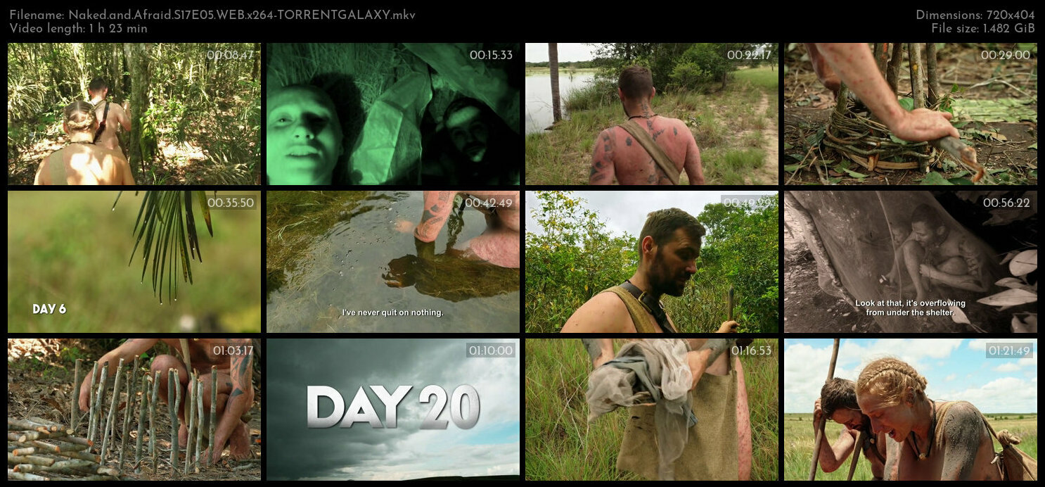 Naked and Afraid S17E05 WEB x264 TORRENTGALAXY