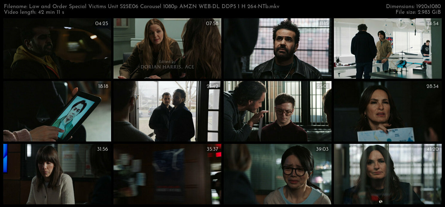 Law and Order Special Victims Unit S25E06 Carousel 1080p AMZN WEB DL DDP5 1 H 264 NTb TGx