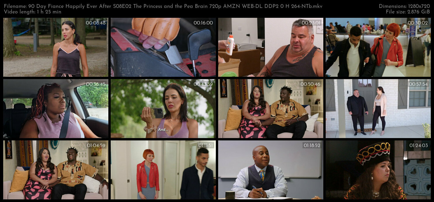 90 Day Fiance Happily Ever After S08E02 The Princess and the Pea Brain 720p AMZN WEB DL DDP2 0 H 264