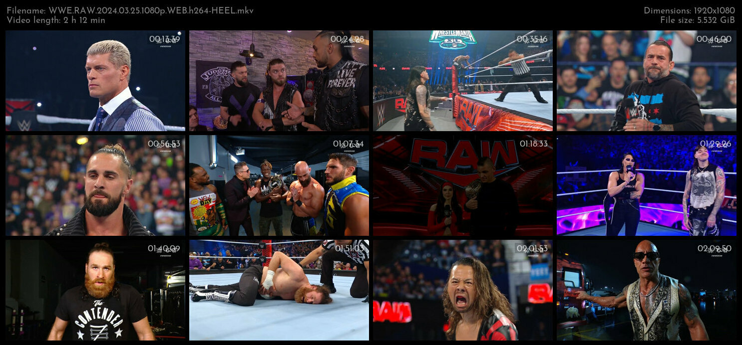 WWE RAW 2024 03 25 1080p WEB h264 HEEL TGx