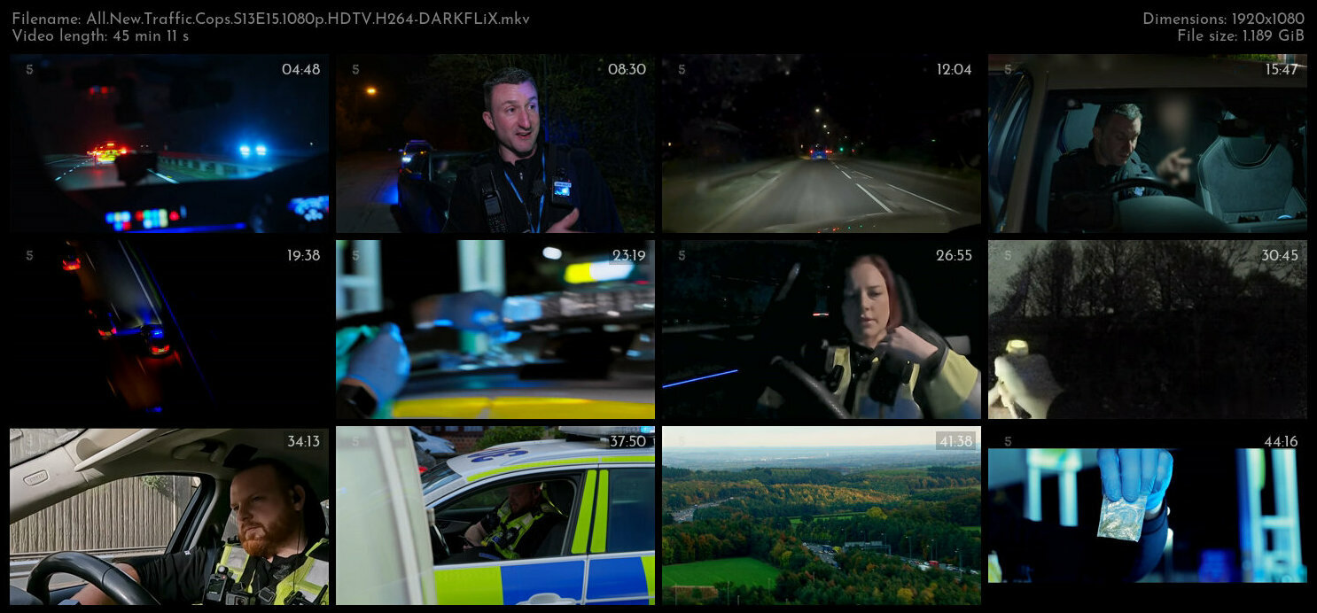 All New Traffic Cops S13E15 1080p HDTV H264 DARKFLiX TGx
