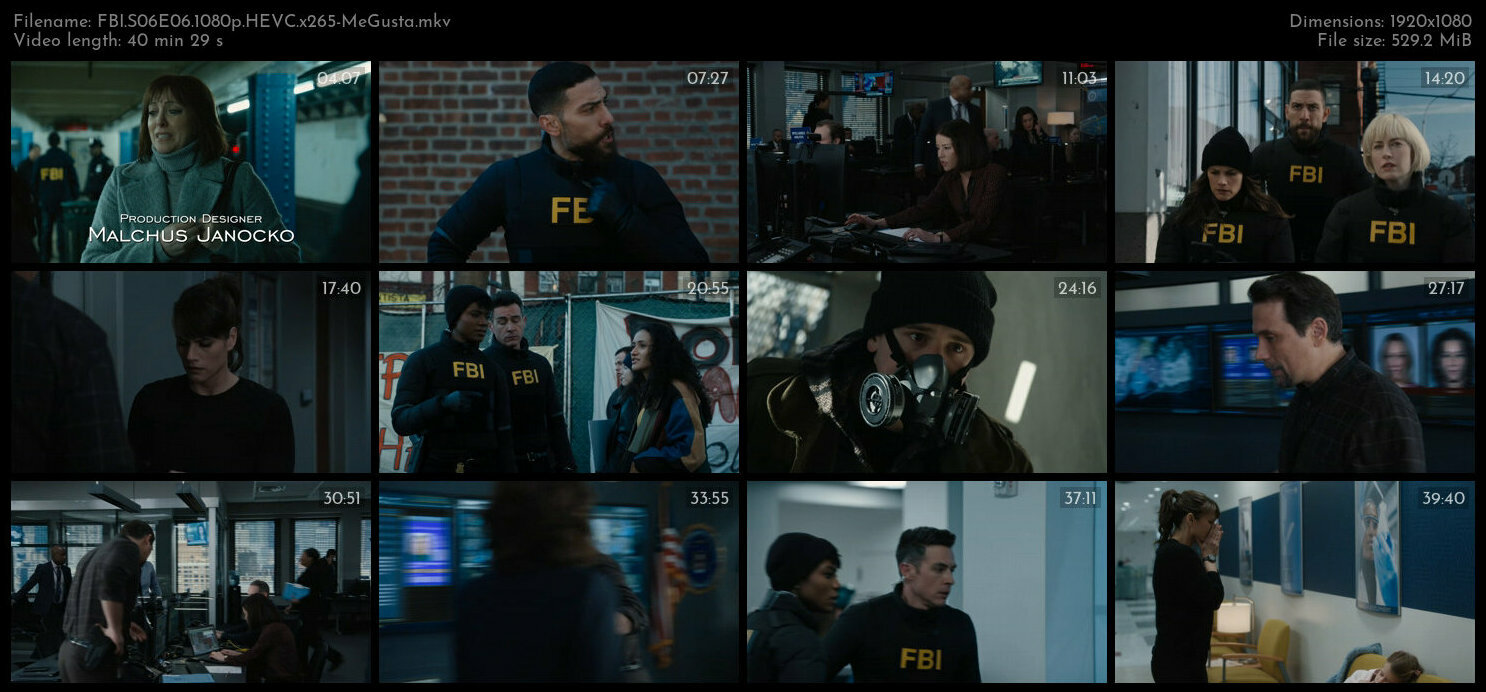 FBI S06E06 1080p HEVC x265 MeGusta TGx
