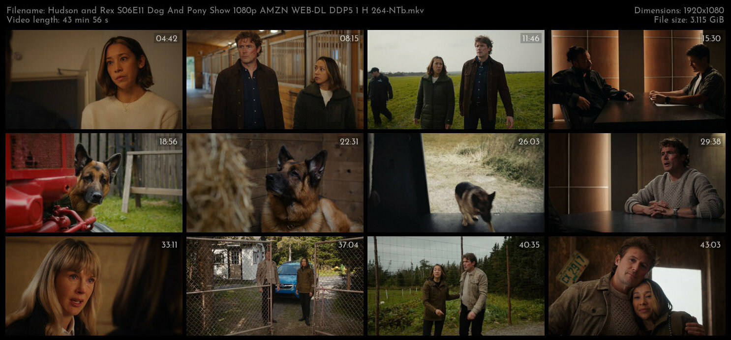 Hudson and Rex S06E11 Dog And Pony Show 1080p AMZN WEB DL DDP5 1 H 264 NTb TGx