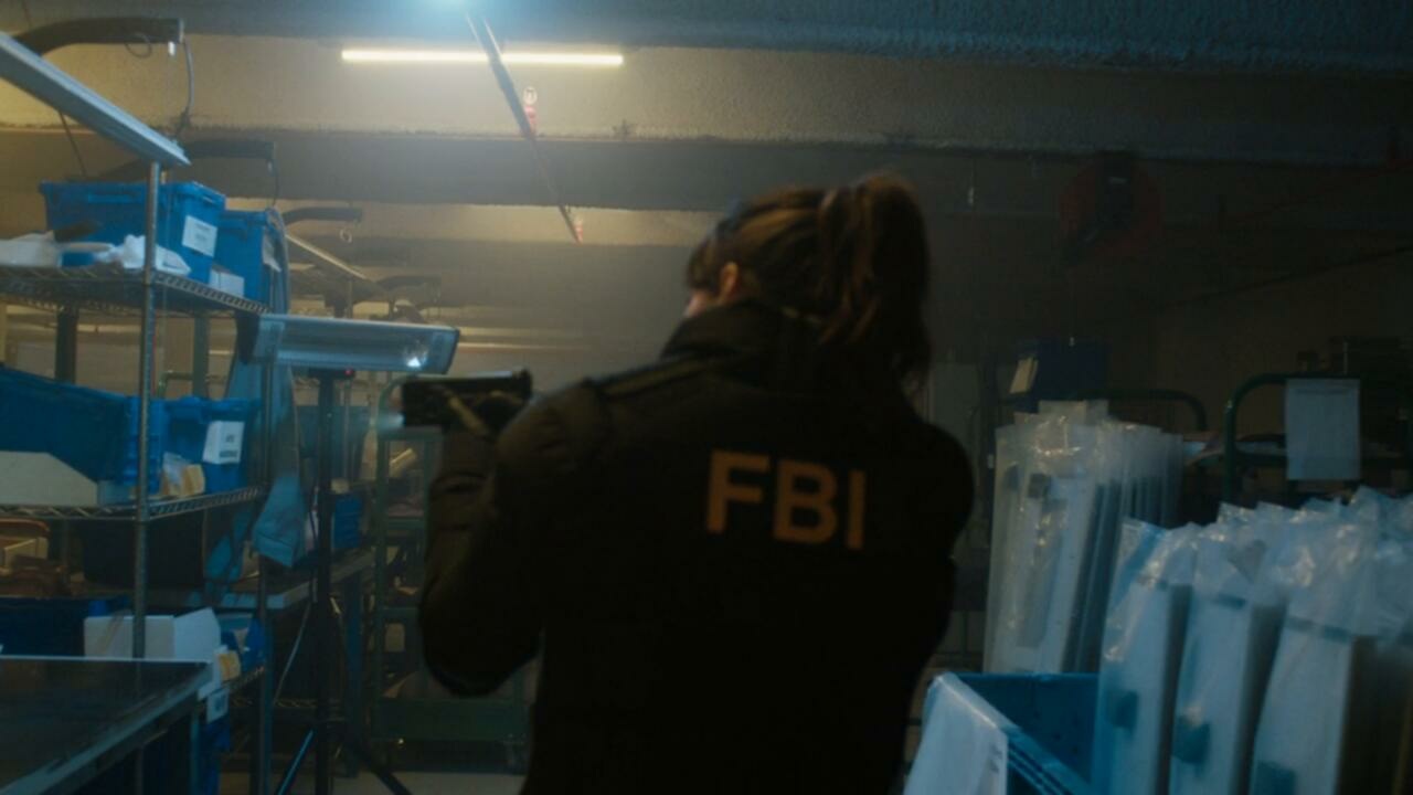 FBI S06E06 Unforeseen 720p AMZN WEB DL DDP5 1 H 264 FLUX TGx