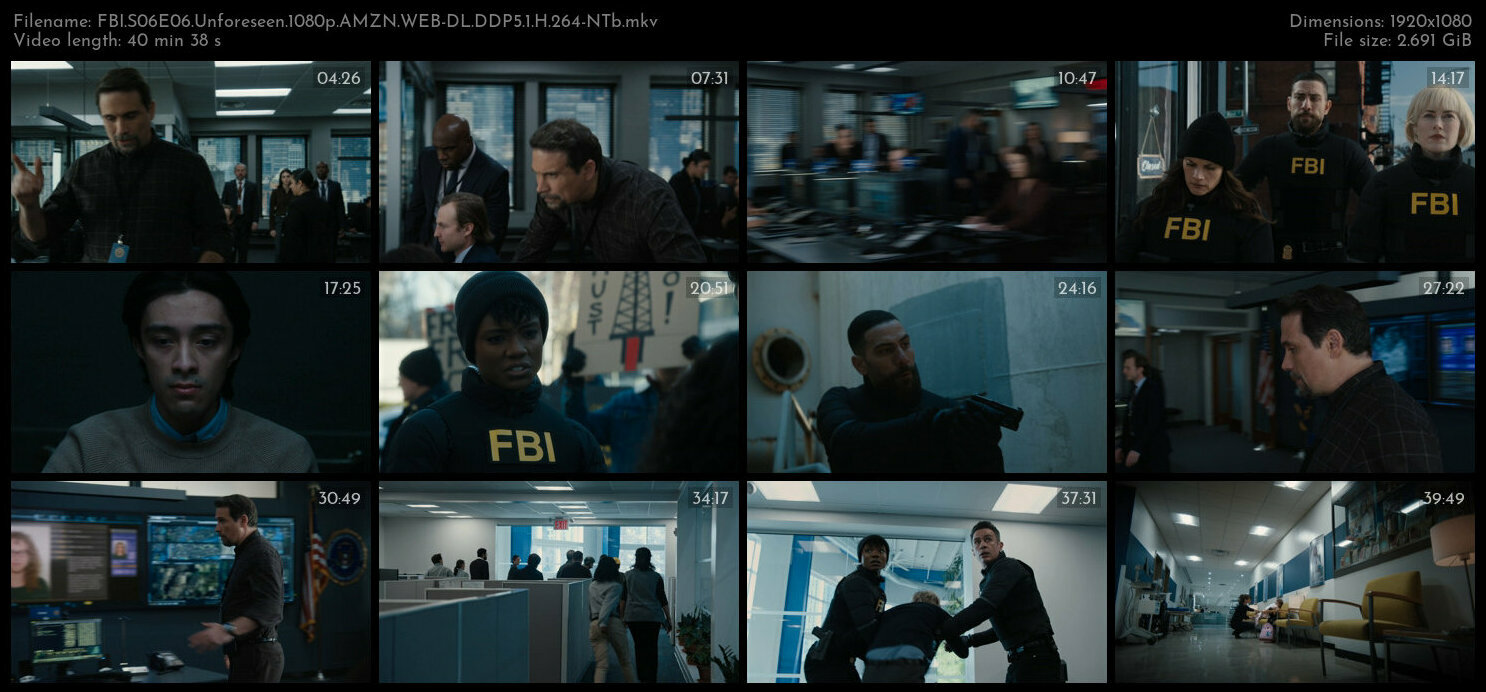 FBI S06E06 Unforeseen 1080p AMZN WEB DL DDP5 1 H 264 NTb TGx