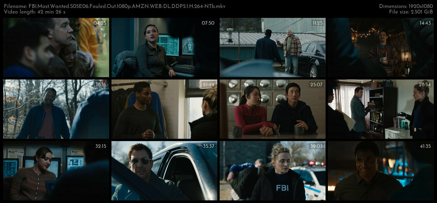 FBI Most Wanted S05E06 Fouled Out 1080p AMZN WEB DL DDP5 1 H 264 NTb TGx