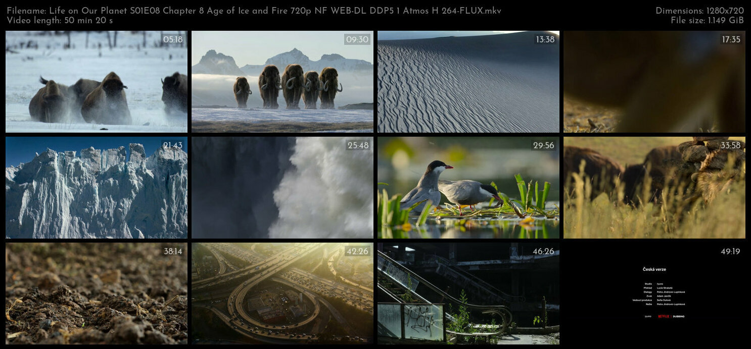 Life on Our Planet S01E08 Chapter 8 Age of Ice and Fire 720p NF WEB DL DDP5 1 Atmos H 264 FLUX TGx