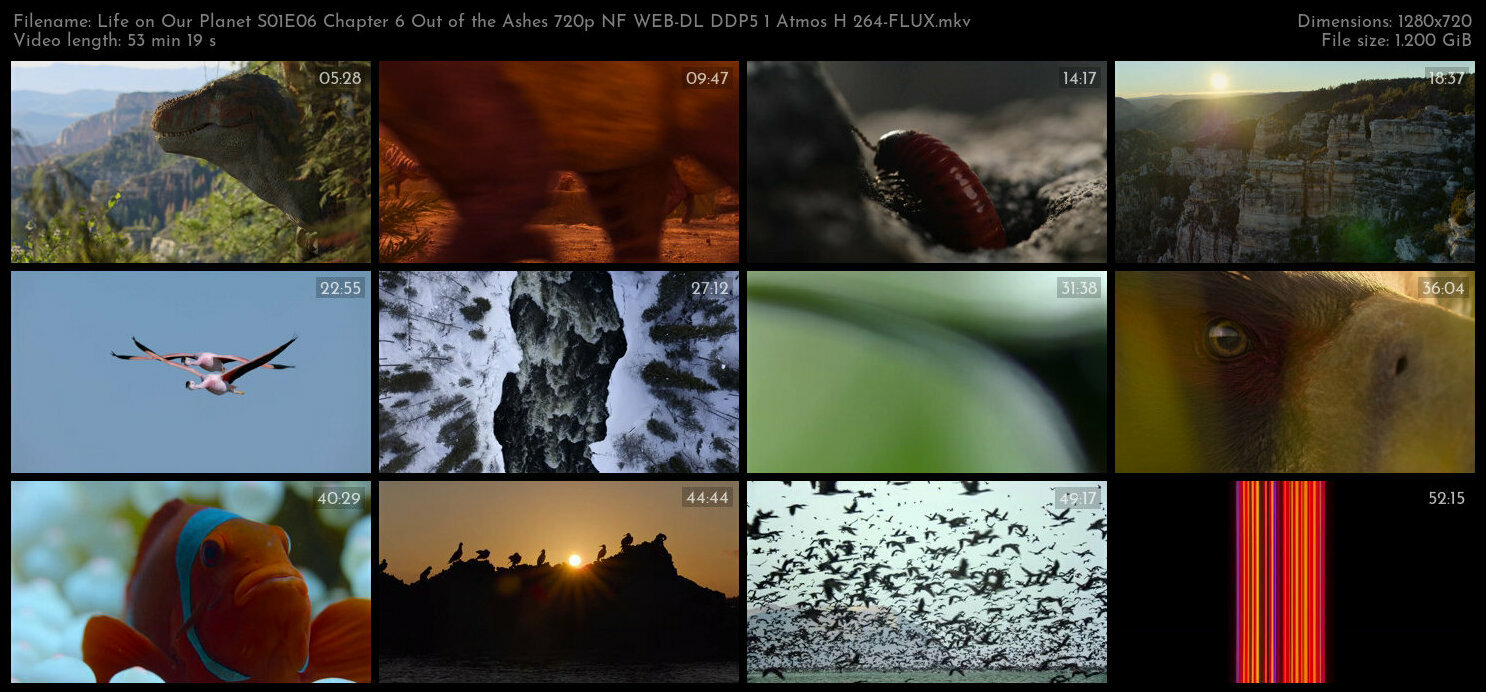 Life on Our Planet S01E06 Chapter 6 Out of the Ashes 720p NF WEB DL DDP5 1 Atmos H 264 FLUX TGx