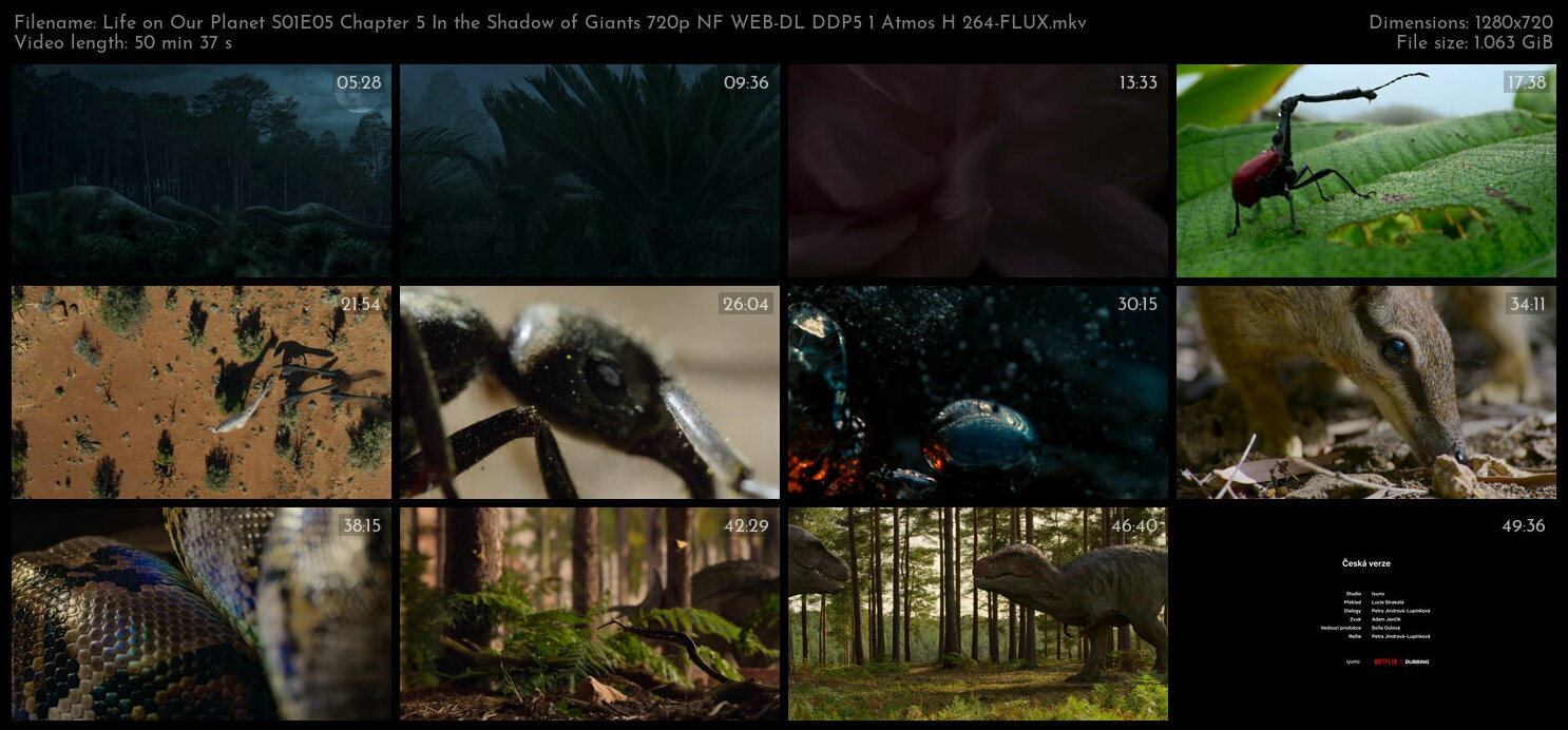 Life on Our Planet S01E05 Chapter 5 In the Shadow of Giants 720p NF WEB DL DDP5 1 Atmos H 264 FLUX T
