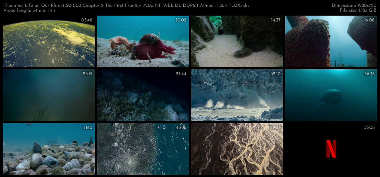 Life on Our Planet S01E02 Chapter 2 The First Frontier 720p NF WEB DL DDP5 1 Atmos H 264 FLUX TGx