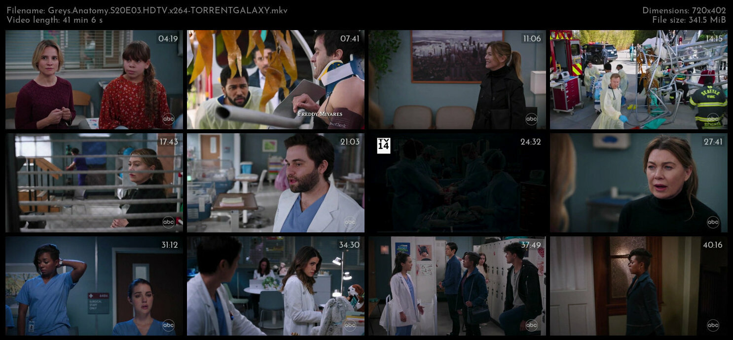 Greys Anatomy S20E03 HDTV x264 TORRENTGALAXY