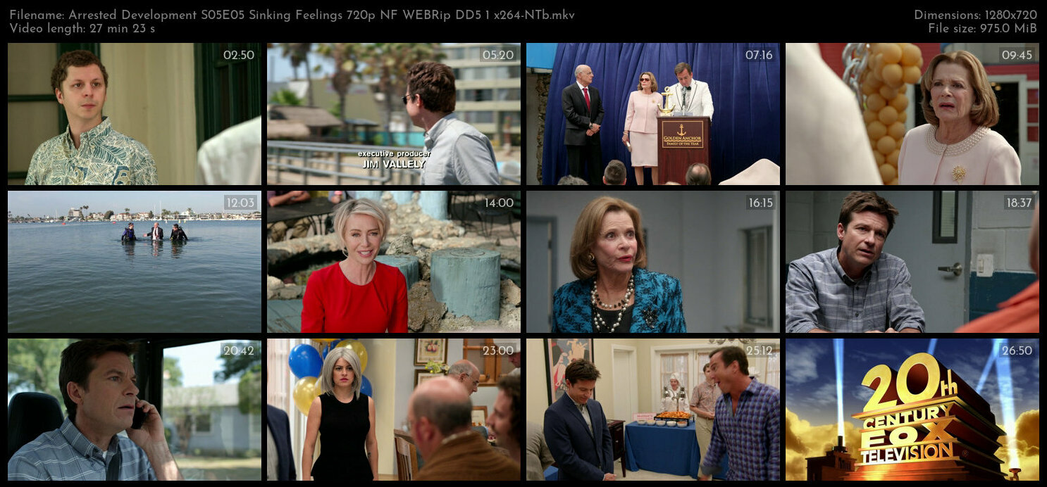 Arrested Development S05E05 Sinking Feelings 720p NF WEBRip DD5 1 x264 NTb TGx