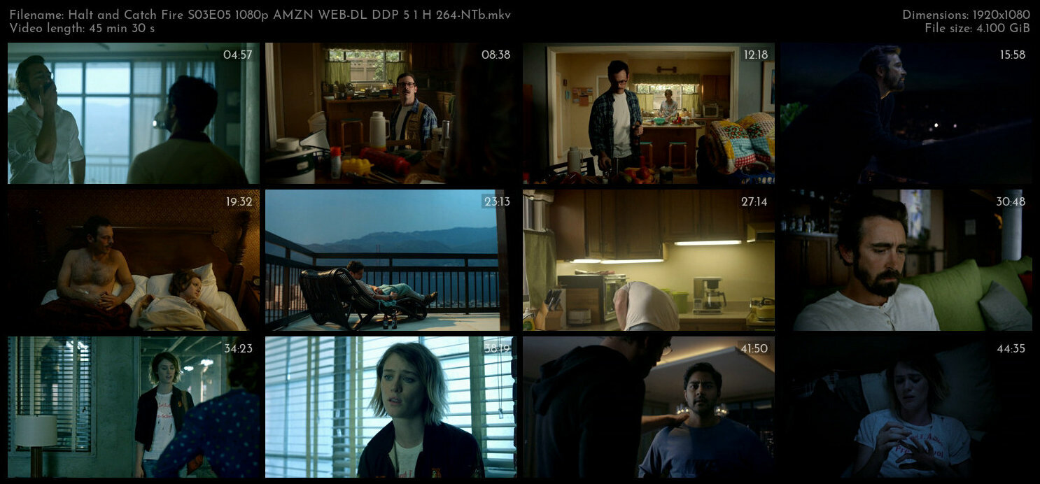 Halt and Catch Fire S03E05 1080p AMZN WEB DL DDP 5 1 H 264 NTb TGx