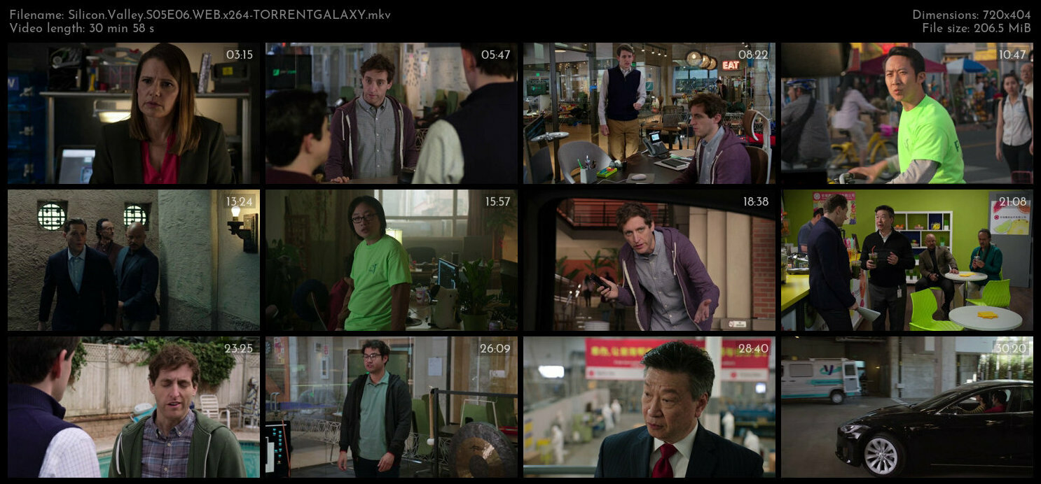 Silicon Valley S05E06 WEB x264 TORRENTGALAXY