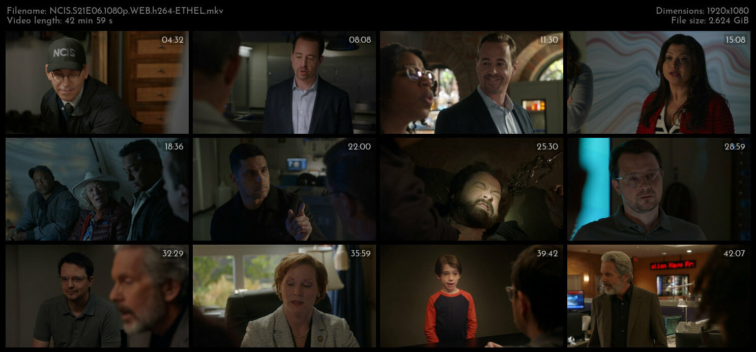 NCIS S21E06 1080p WEB h264 ETHEL TGx