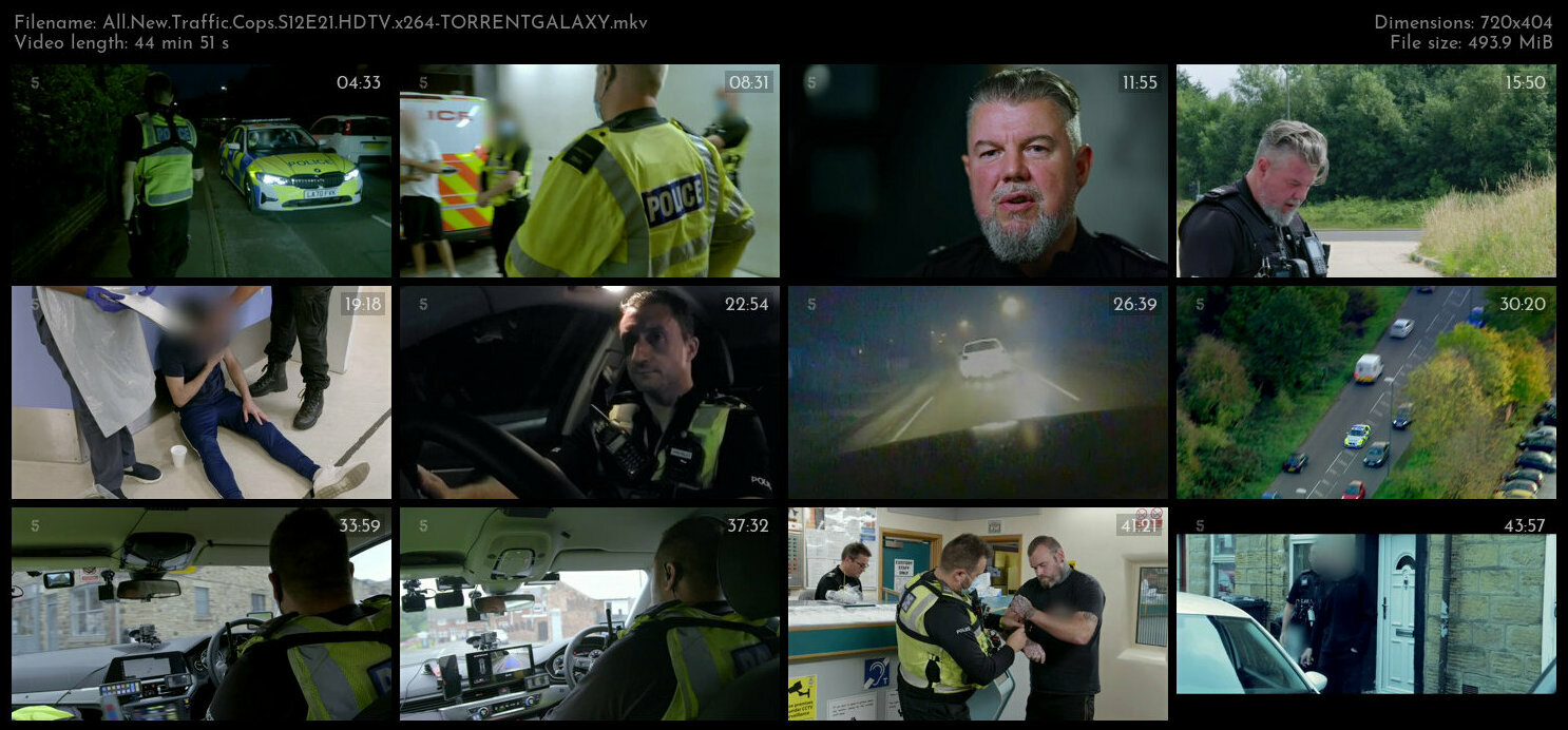 All New Traffic Cops S12E21 HDTV x264 TORRENTGALAXY