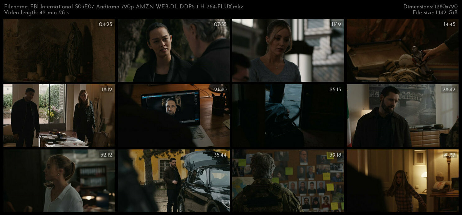 FBI International S03E07 Andiamo 720p AMZN WEB DL DDP5 1 H 264 FLUX TGx