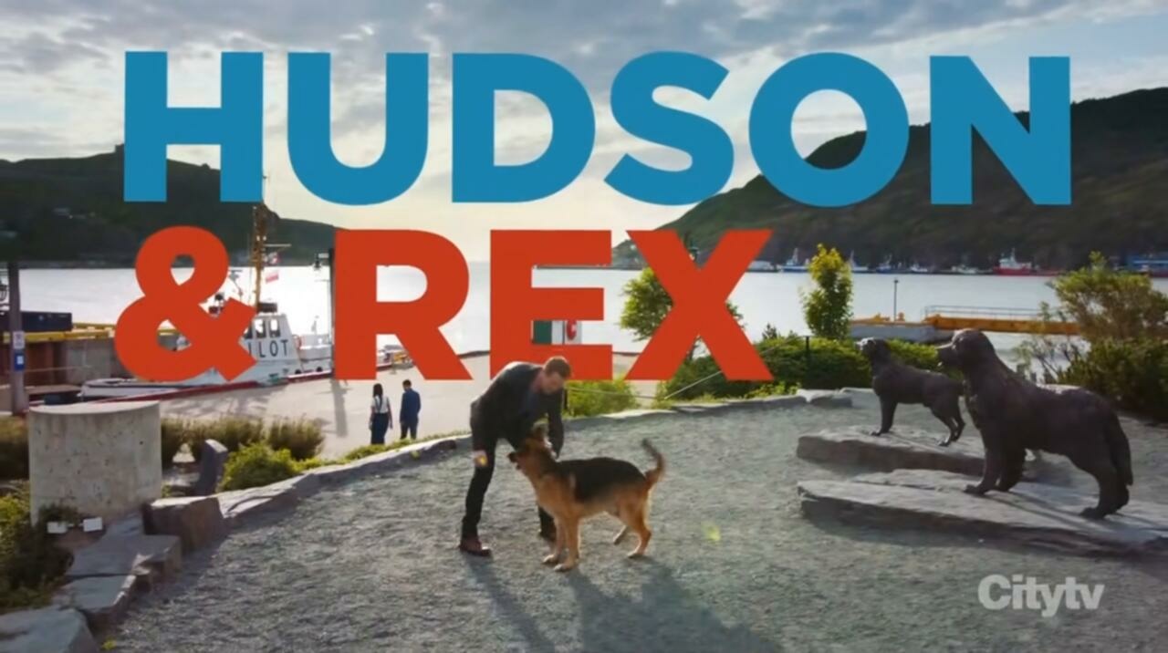 Hudson and Rex S06E12 720p HDTV x265 MiNX TGx