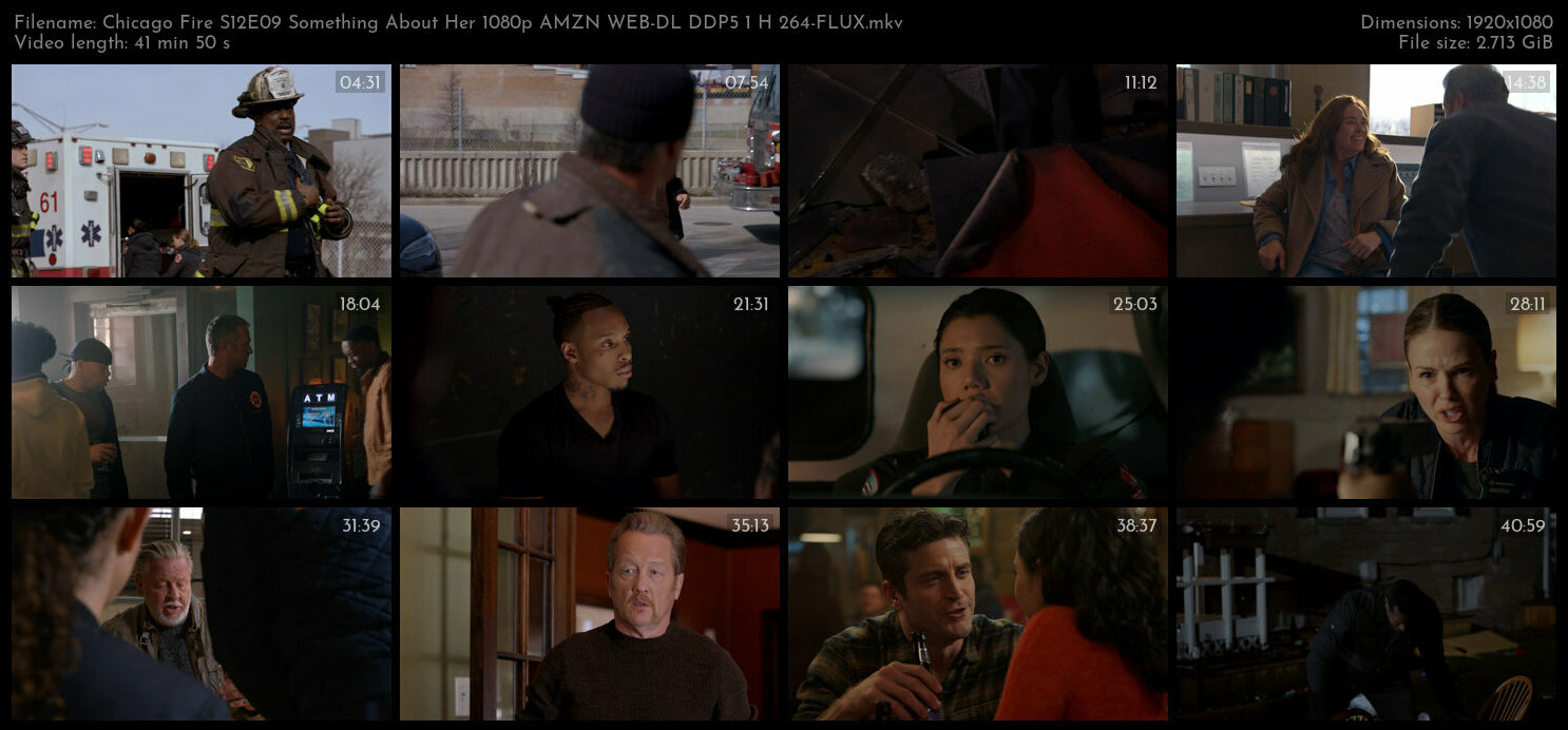 Chicago Fire S12E09 Something About Her 1080p AMZN WEB DL DDP5 1 H 264 FLUX TGx