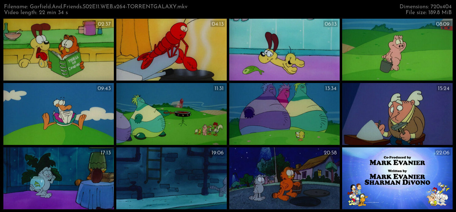 Garfield And Friends S02E11 WEB x264 TORRENTGALAXY