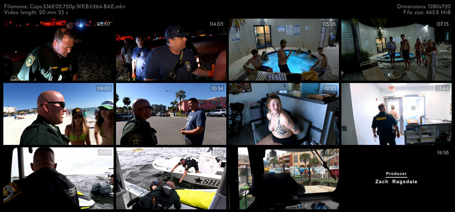 Cops S36E02 720p WEB h264 BAE TGx