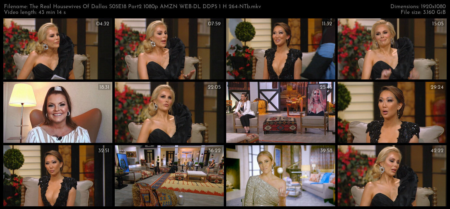 The Real Housewives Of Dallas S05E18 Part2 1080p AMZN WEB DL DDP5 1 H 264 NTb TGx