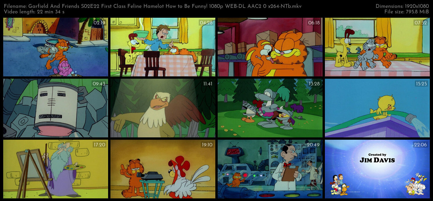 Garfield And Friends S02E22 First Class Feline Hamelot How to Be Funny 1080p WEB DL AAC2 0 x264 NTb