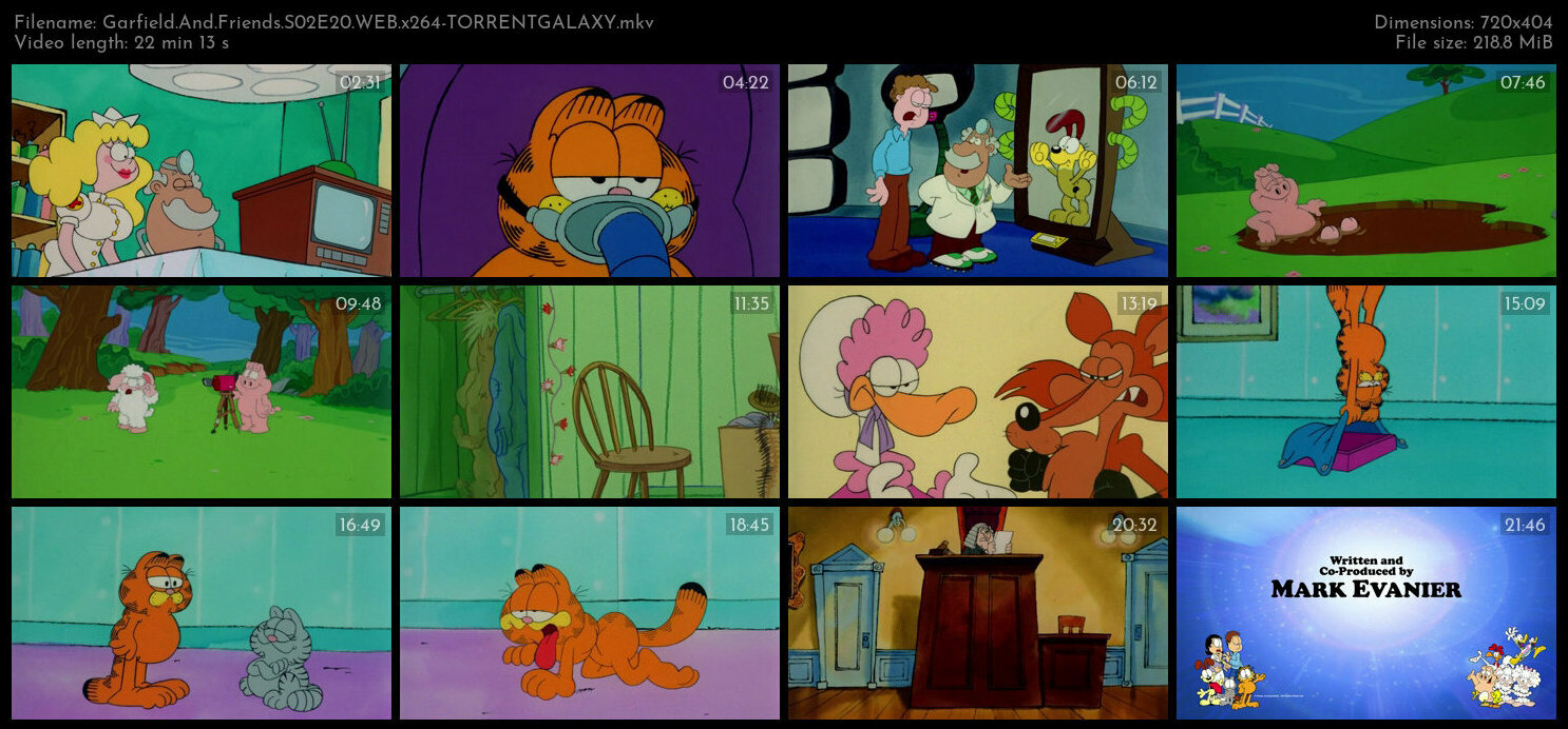 Garfield And Friends S02E20 WEB x264 TORRENTGALAXY